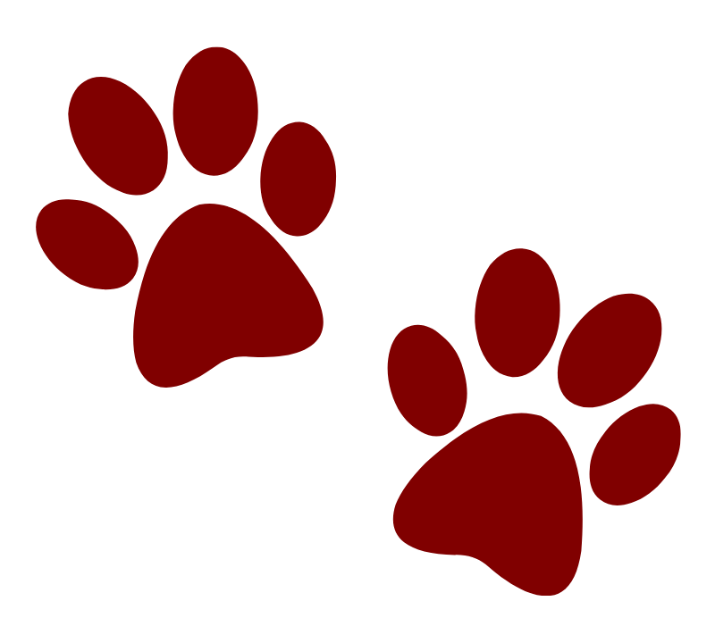 red paws