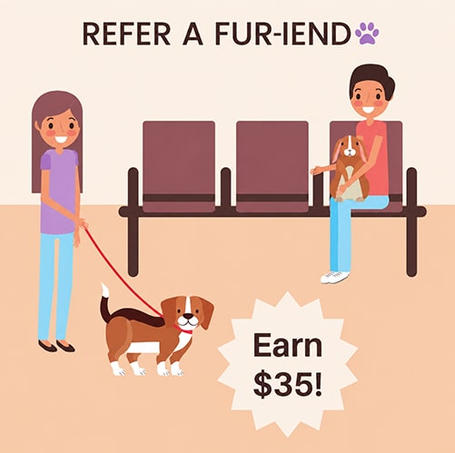 35 off Refer a fur-iend graphics